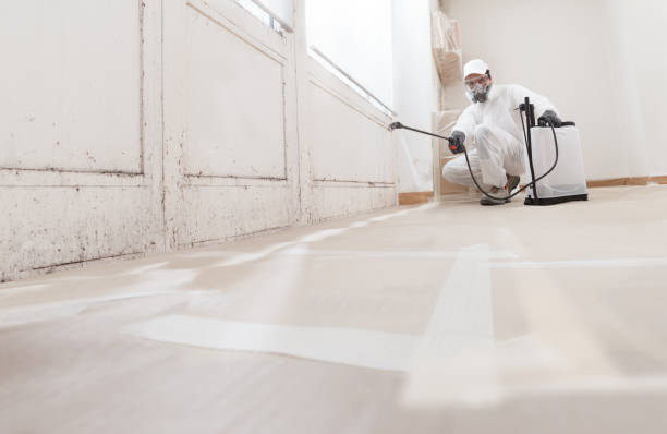 24/7 Emergency Mold Removal experts in Manchester, KY
